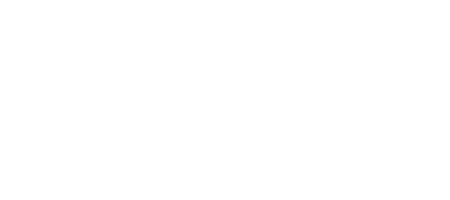 BORCELLE